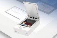 HEADER IMAGE WT12 SPECTRUM